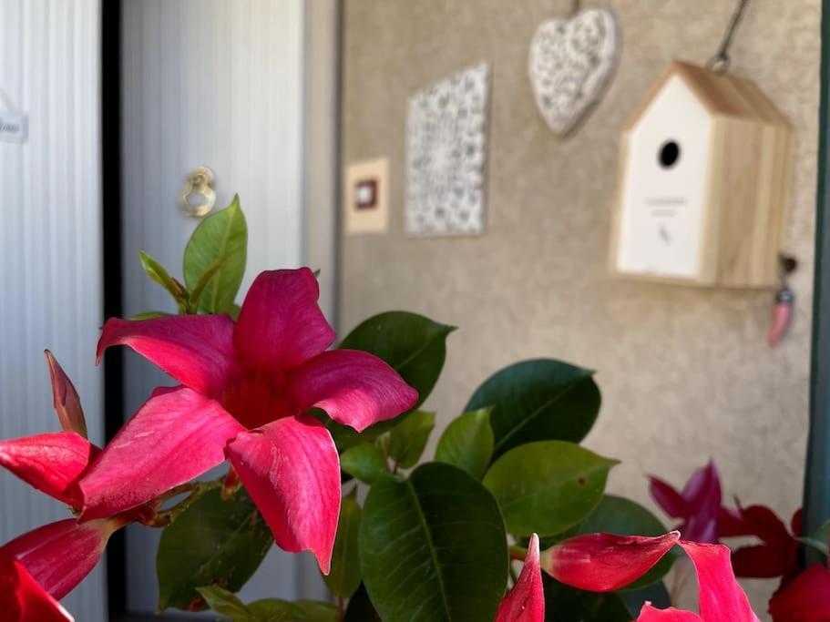Annali Casa Vacanze - Shabby Style Nella Natura La Spezia Zewnętrze zdjęcie