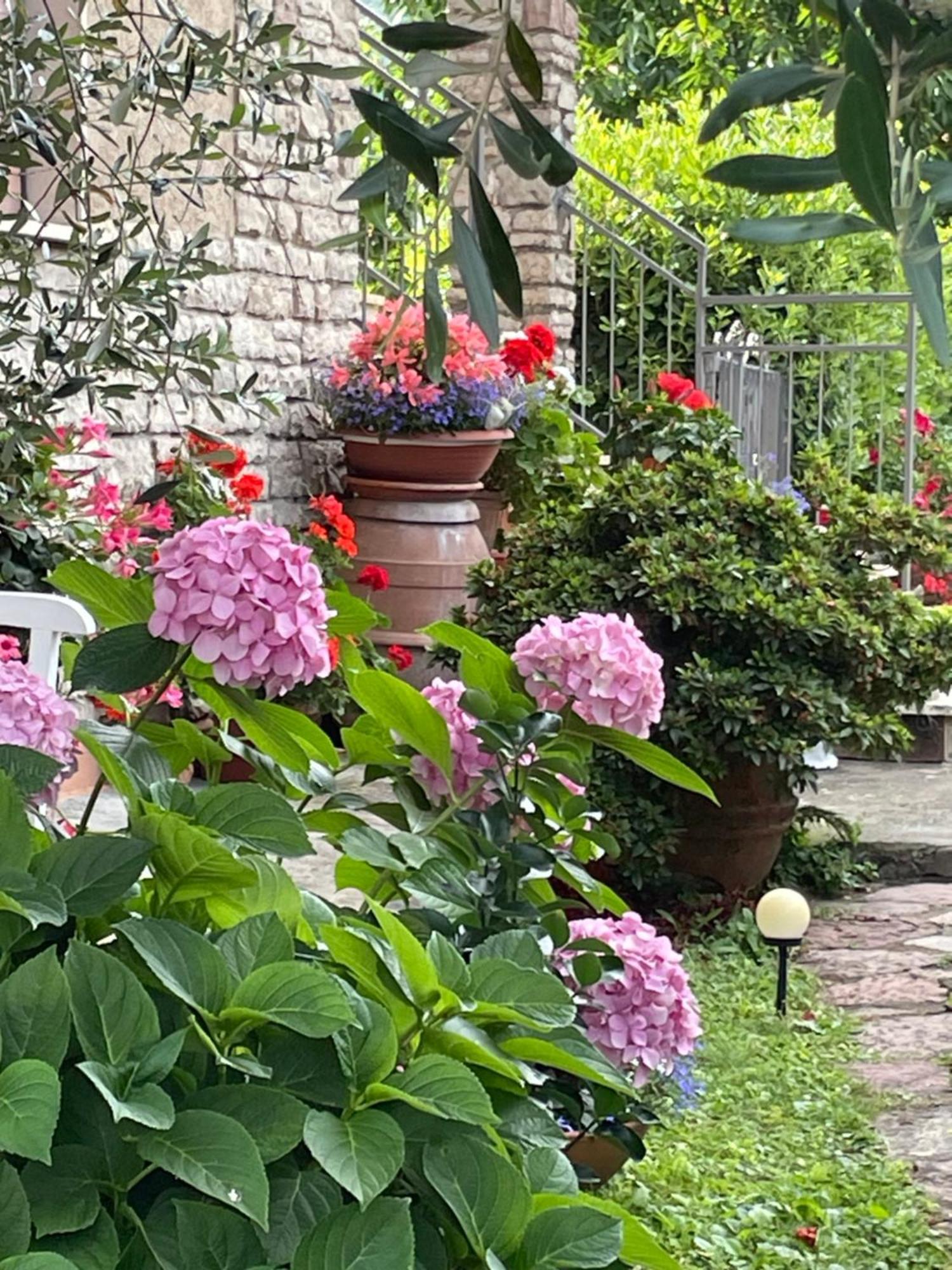 Annali Casa Vacanze - Shabby Style Nella Natura La Spezia Zewnętrze zdjęcie